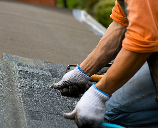 Best Local Roofing Companies  in Oak Point, TX