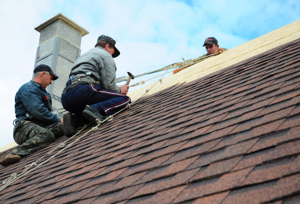 Best Shingle Roofing Installation  in Oak Point, TX